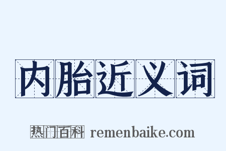 内胎近义词是什么意思的图片